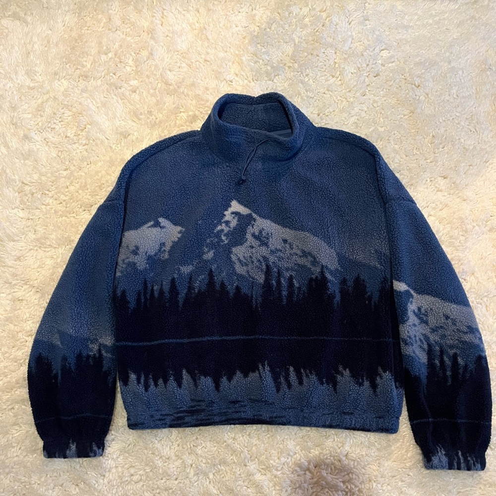 Pacsun Cropped Sweater
